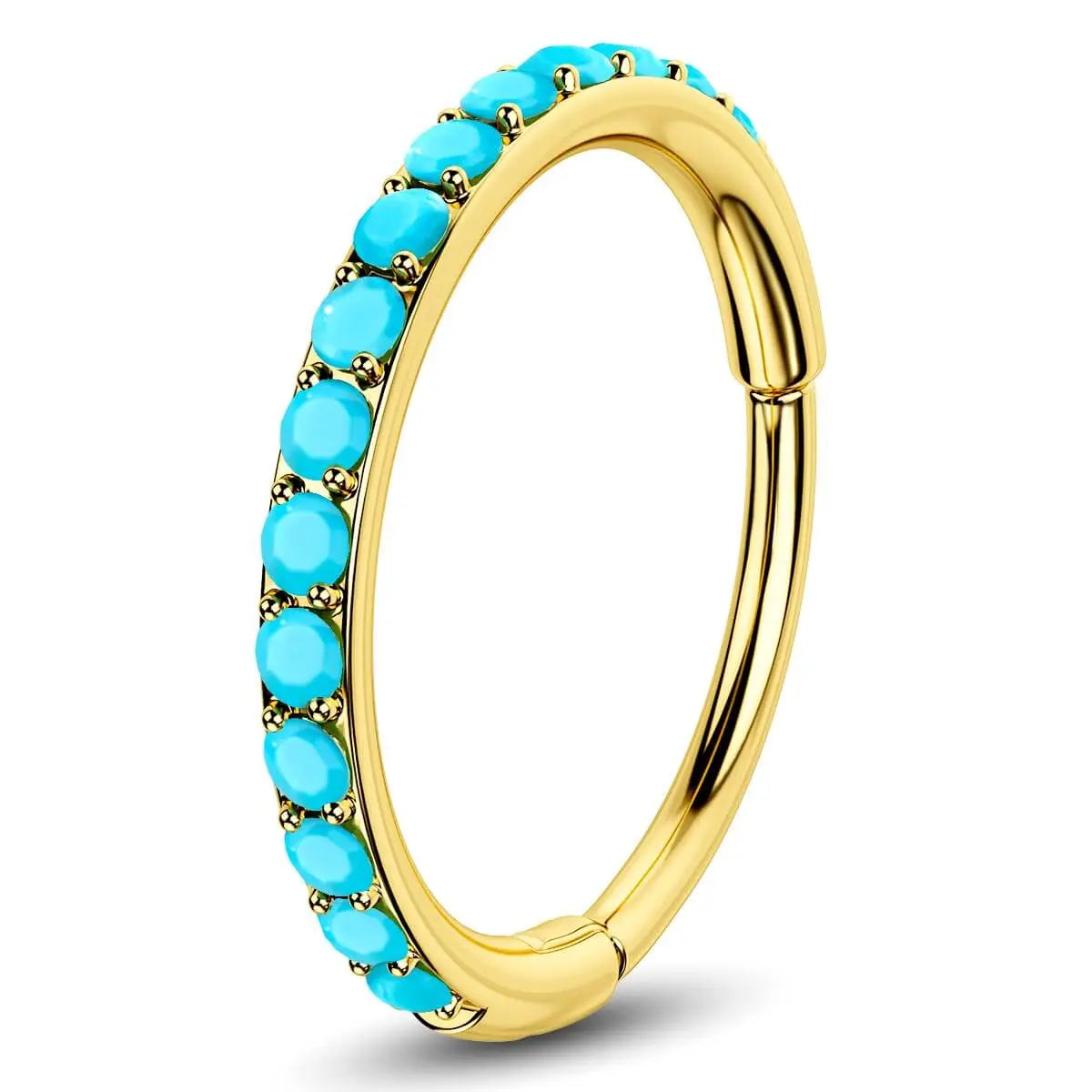 OUFER BODY JEWELRY 20G 316L Stainless Steel Turquoise Hinged Segment Ring, Corrosion-Free Nostril Nose Piercing Piece with Hinge Detail, Unisex Fashion Body Jewelry, 6mm/7mm/8mm Inner Diameter, Turquoise Jewelry