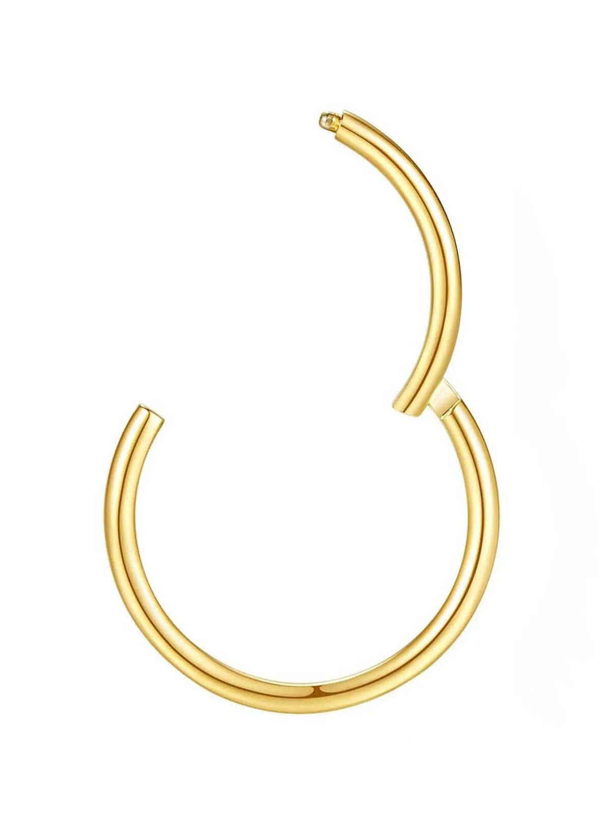 Stainless Steel Hinged Nose Rings Hoops, Casual Simple Nose Ring for Women & Men, Fashion Jewelry for Party, Daily Clothing Decor, Trendy All-match & Exquisite Jewelry for Birthday Gift, Hinged Piercing Hoop, Body Jewelry Accessory