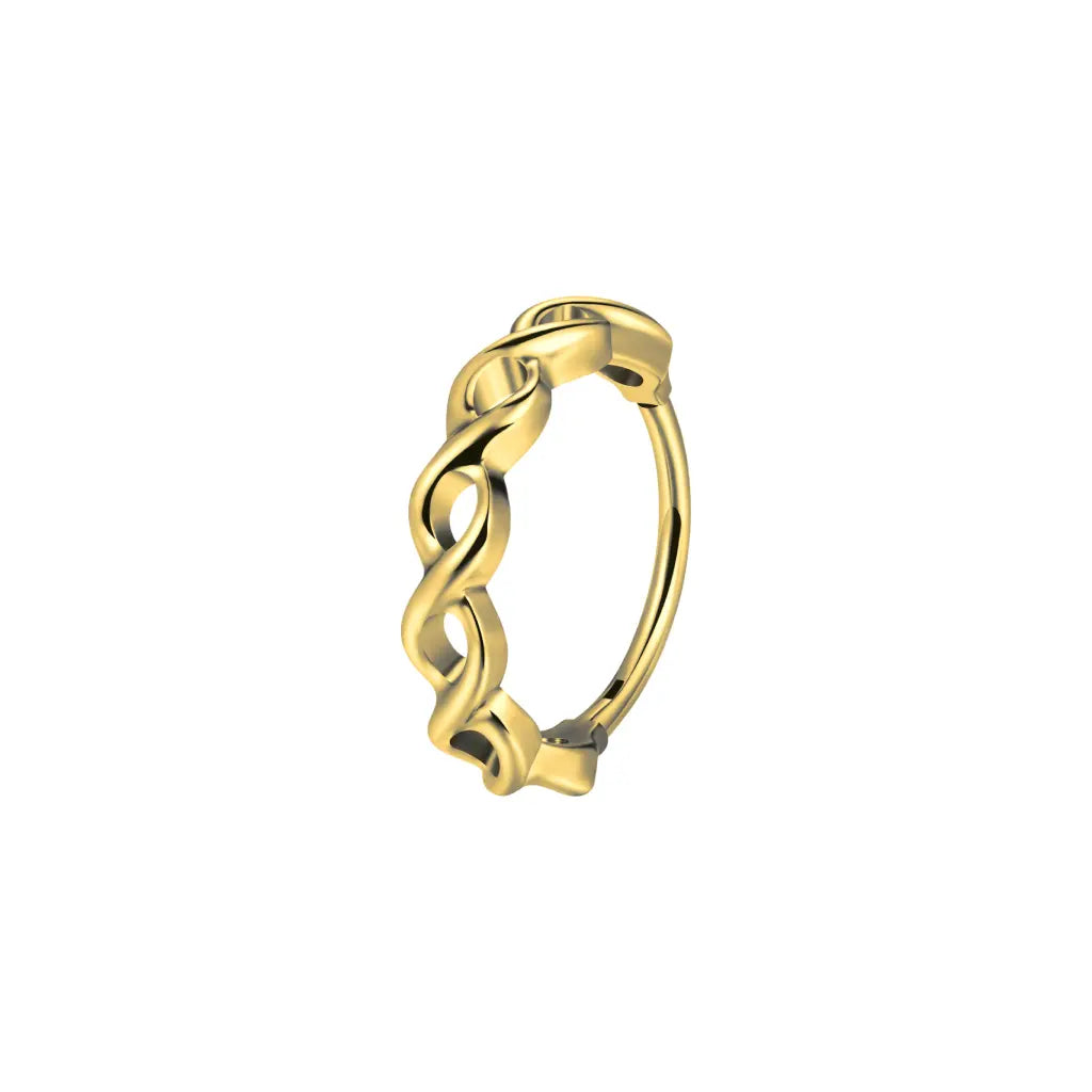 Titanium Infinity Twist Hinged Nose Hoop